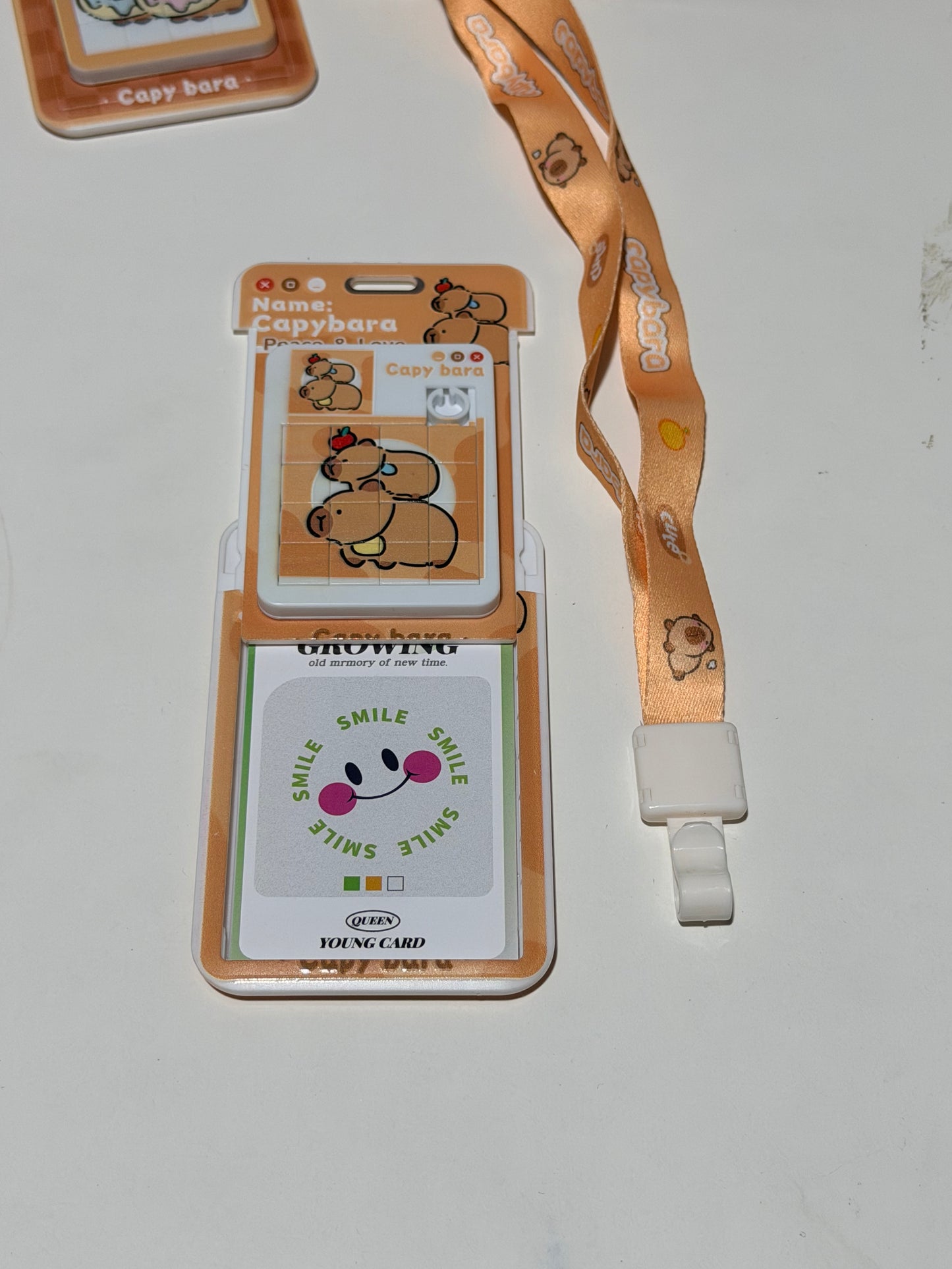 Cute Student ID Card Holder with Lanyard（2） 可爱学生证挂绳卡套（2）