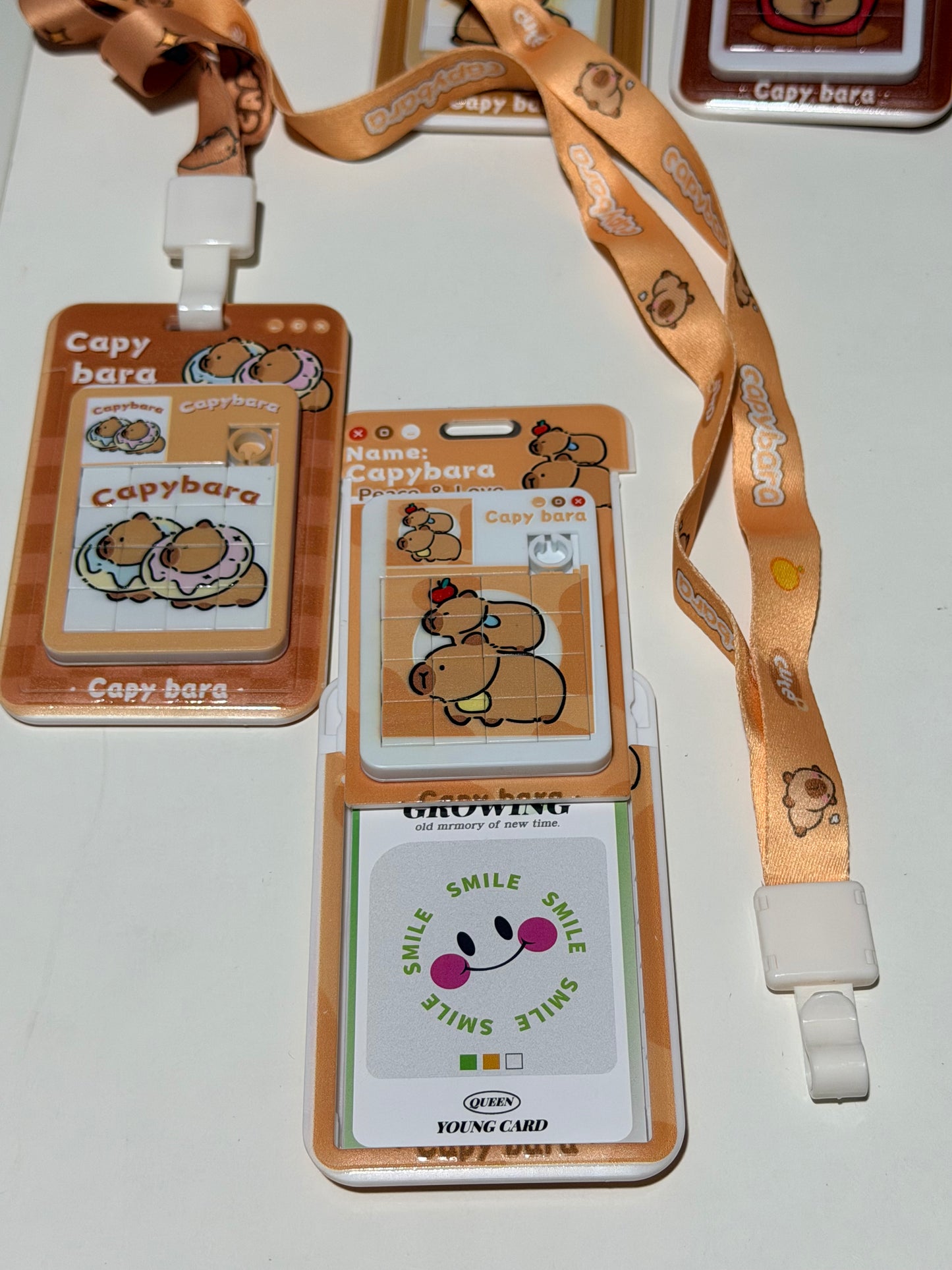 Cute Student ID Card Holder with Lanyard（2） 可爱学生证挂绳卡套（2）
