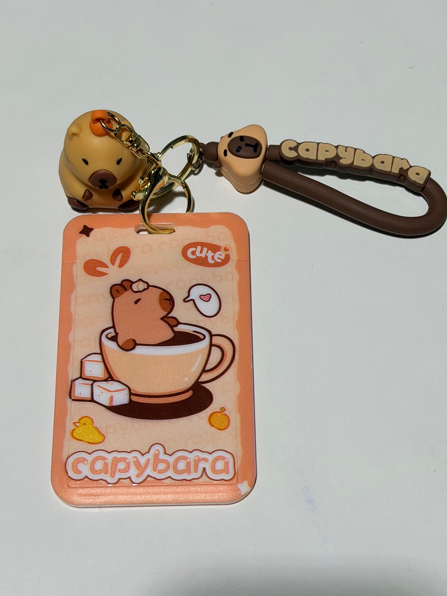 Cute Student ID Card Holder with Lanyard（3） 可爱学生证挂绳卡套（3）